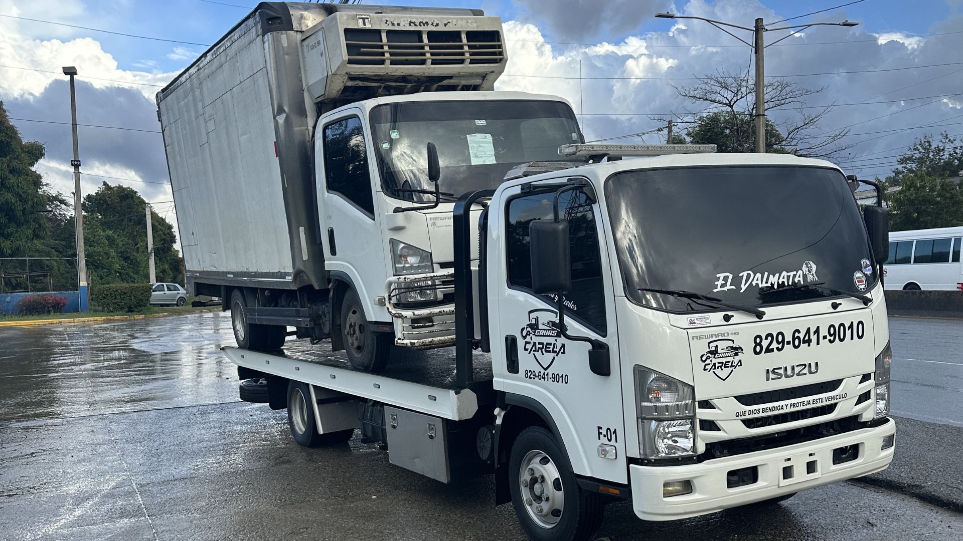 Flota de Grúas Carela en República Dominicana