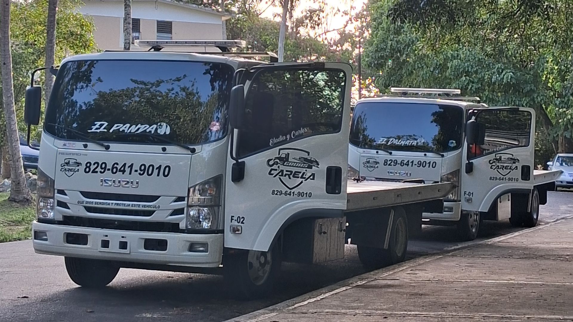 Flota de Grúas Carela en República Dominicana